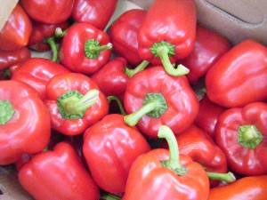 2009/06/20 ���T�̔����ł�_22