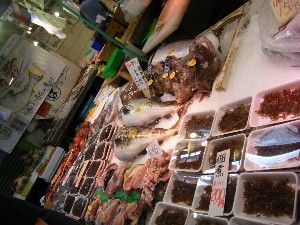 2009/06/20 ���T�̔����ł�_26