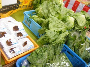 2009/06/20 ���T�̔����ł�_37