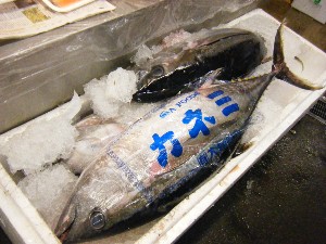 2009/06/20 ���T�̔����ł�_38
