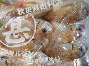 2009/06/20 ���T�̔����ł�_40