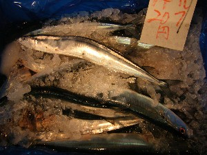 2009/06/20 ���T�̔����ł�_54