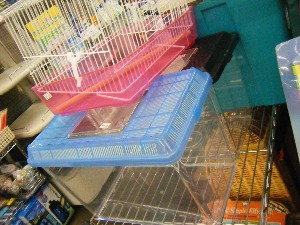 -20090627- ���T�̔����ł�_29