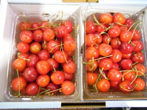 -20090627- �������ڂ̐������H��@���̊ېʂ���_5