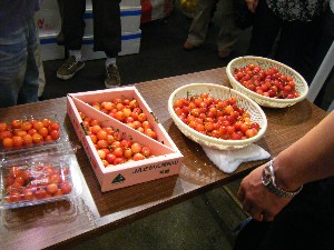 -20090627- �������ڂ̐������H��@���̊ېʂ���_12