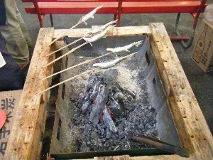 2009/06/28 ���̉��Ă�������_9