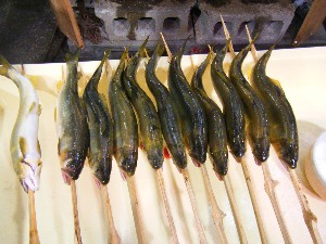 2009/06/28 ���̉��Ă�������_12