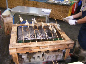 2009/06/28 ���̉��Ă�������_13