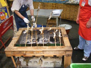 2009/06/28 ���̉��Ă�������_15