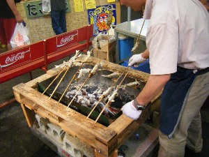 2009/06/28 ���̉��Ă�������_16