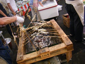2009/06/28 ���̉��Ă�������_23