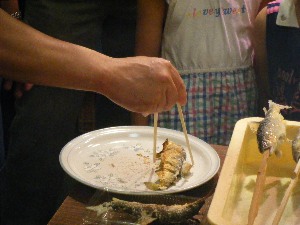 2009/06/28 ���̉��Ă�������_28