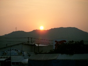 2009/06/28 ���̉��Ă�������_35