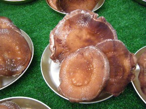 2009/07/04 ���T�̔����ł�_1