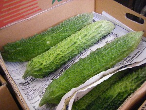 2009/07/04 ���T�̔����ł�_26