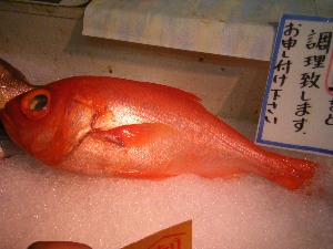2009/07/04 ���T�̔����ł�_38