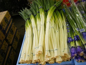 2009/07/01 ���T�̔����ł�_5