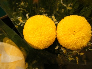 2009/07/01 ���T�̔����ł�_9