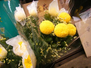 2009/07/01 ���T�̔����ł�_10