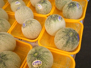 2009/07/01 ���T�̔����ł�_16