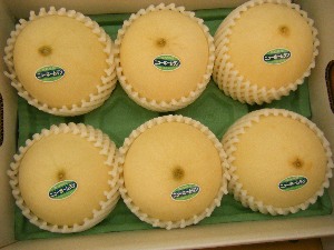 2009/07/01 ���T�̔����ł�_18