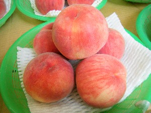 2009/07/01 ���T�̔����ł�_22