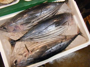 2009/07/01 ���T�̔����ł�_39