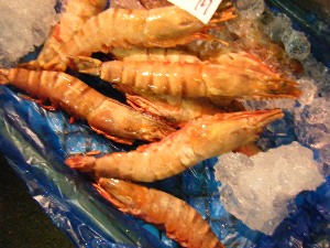 2009/07/01 ���T�̔����ł�_47