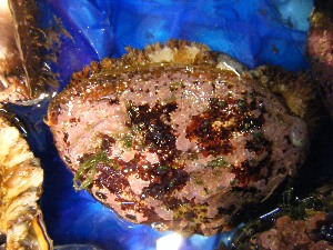 2009/07/01 ���T�̔����ł�_52