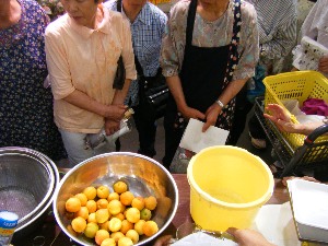 2009/07/11 �~�Ђ�������_12