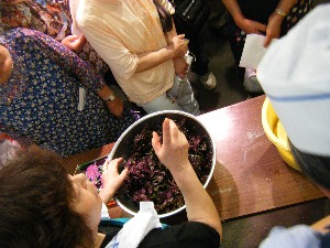 2009/07/11 �~�Ђ�������_21