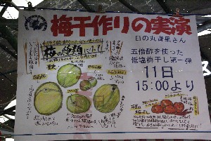2009/07/11 �~�Ђ�������_2