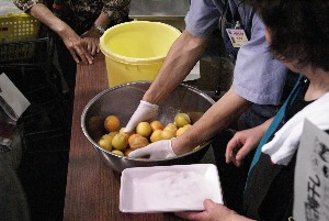 2009/07/11 �~�Ђ�������_32