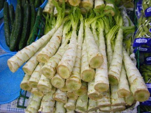 2009/07/18 ���T�̔����ł�_3