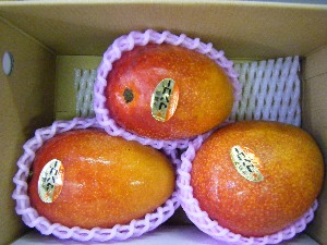 2009/07/18 ���T�̔����ł�_4