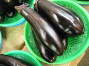 2009/07/18 ���T�̔����ł�_5