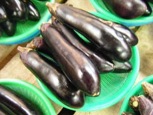 2009/07/18 ���T�̔����ł�_6