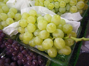 2009/07/18 ���T�̔����ł�_8