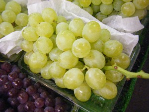 2009/07/18 ���T�̔����ł�_9