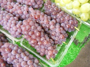 2009/07/18 ���T�̔����ł�_10