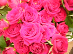 2009/07/18 ���T�̔����ł�_17