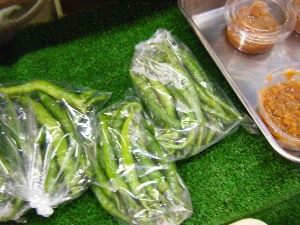 2009/07/18 ���T�̔����ł�_19