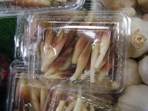2009/07/18 ���T�̔����ł�_22