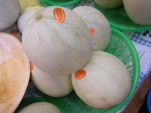 2009/07/18 ���T�̔����ł�_25