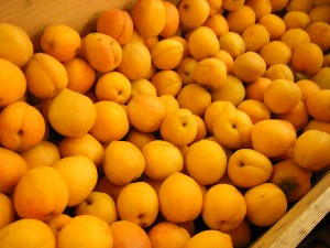 2009/07/18 ���T�̔����ł�_31