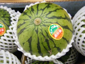 2009/07/18 ���T�̔����ł�_33