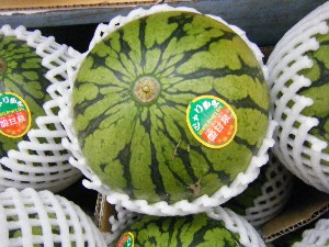 2009/07/18 ���T�̔����ł�_34