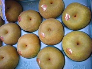 2009/07/18 ���T�̔����ł�_35