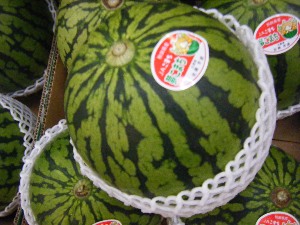 2009/07/18 ���T�̔����ł�_36
