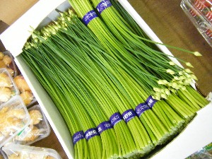 2009/07/18 ���T�̔����ł�_43